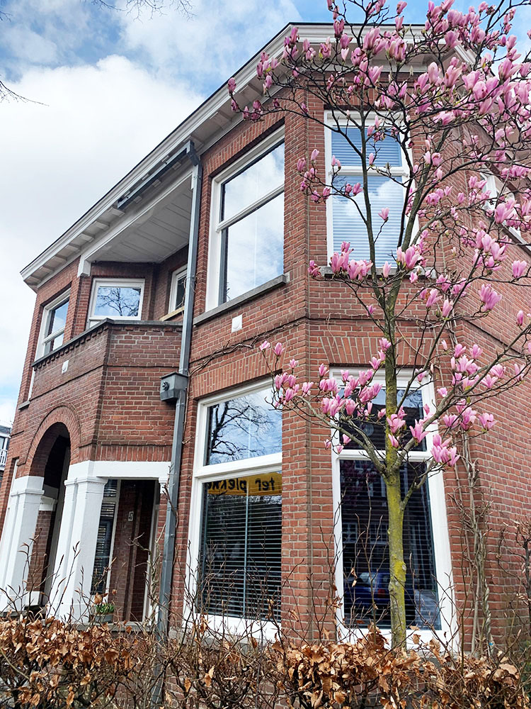 vacuum glass for old window replacement